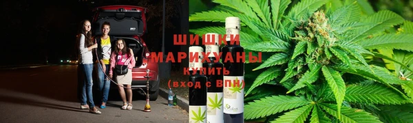 ПСИЛОЦИБИНОВЫЕ ГРИБЫ Белокуриха